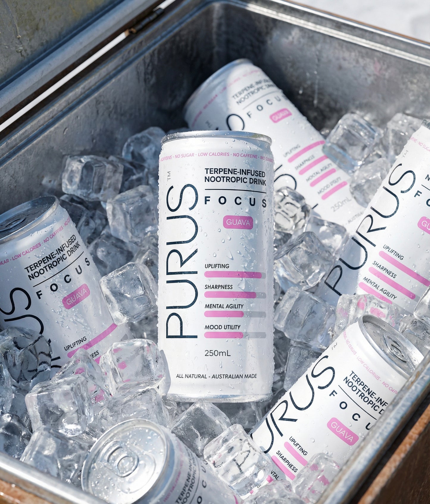 Purus Focus cans on ice in a metal container